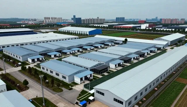 财税咨询在项目咨询中的角色与发展趋势